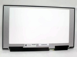 Ecran LQ156T1JW03 pentru Razer RZ09-0409KW03
